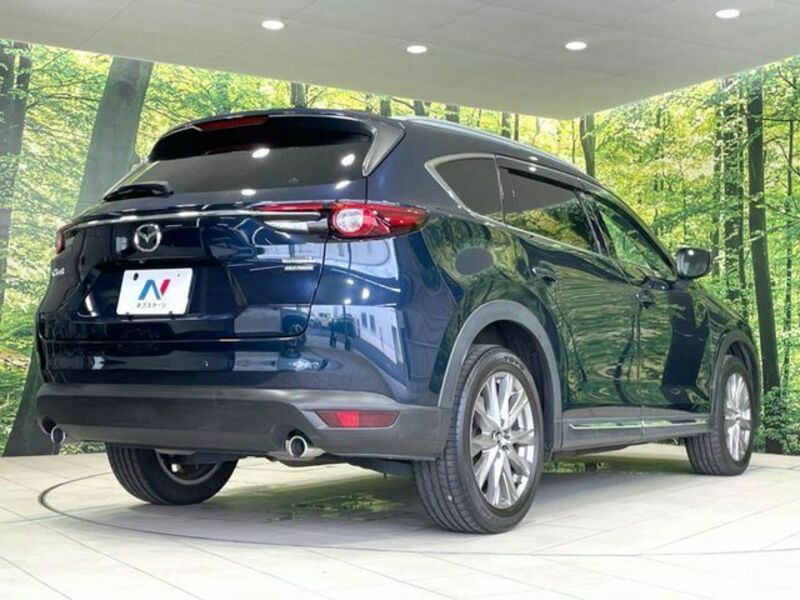 CX-8