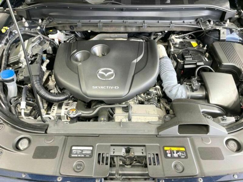 CX-8