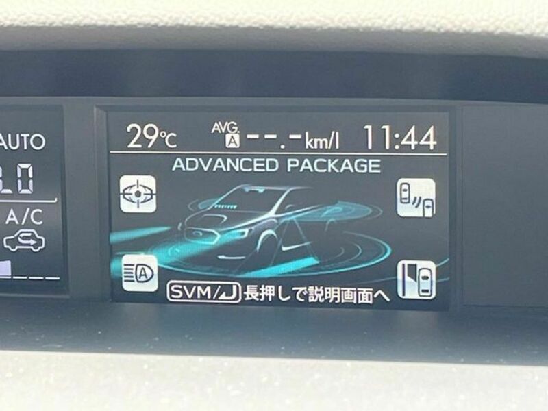 LEVORG
