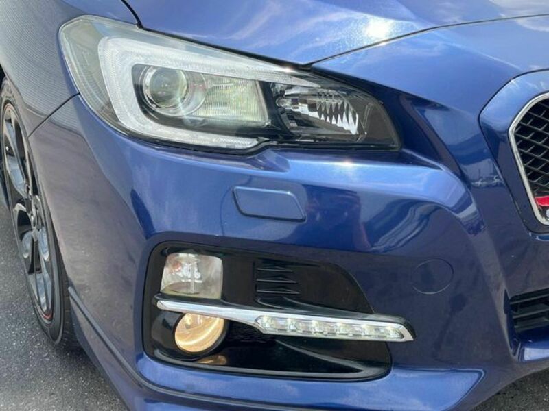 LEVORG