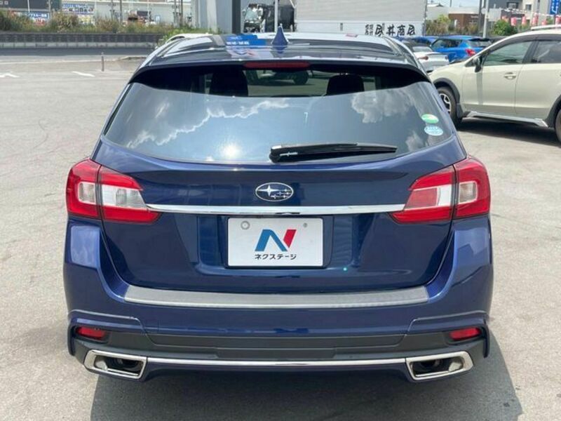 LEVORG