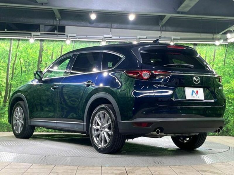 CX-8