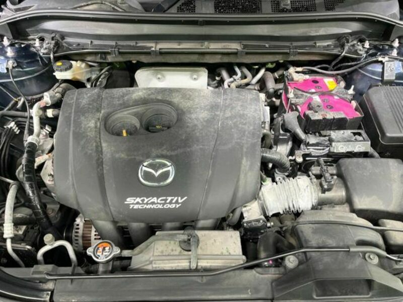 CX-8
