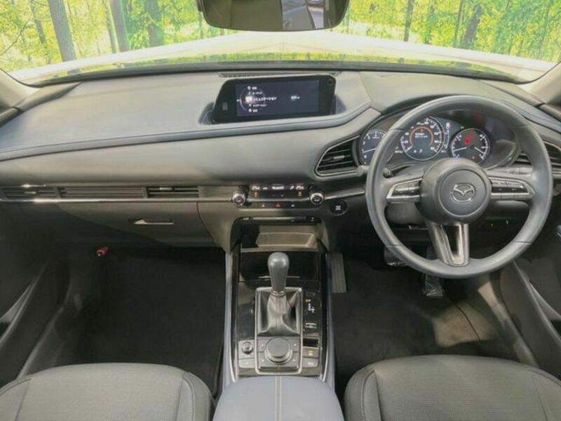 CX-30