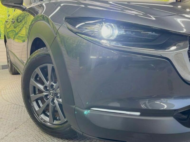 CX-30