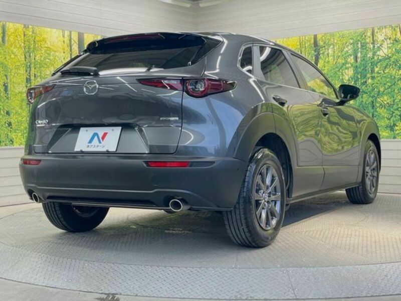 CX-30