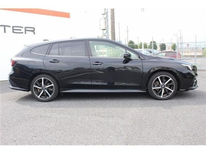 LEVORG
