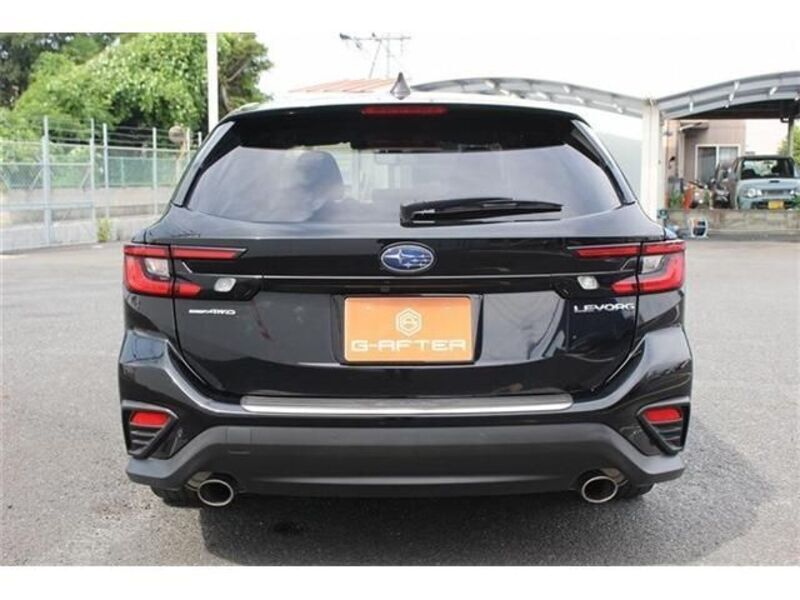 LEVORG