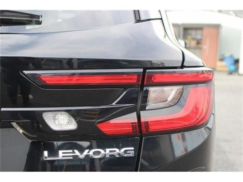 LEVORG