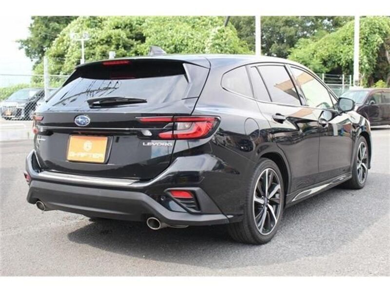 LEVORG