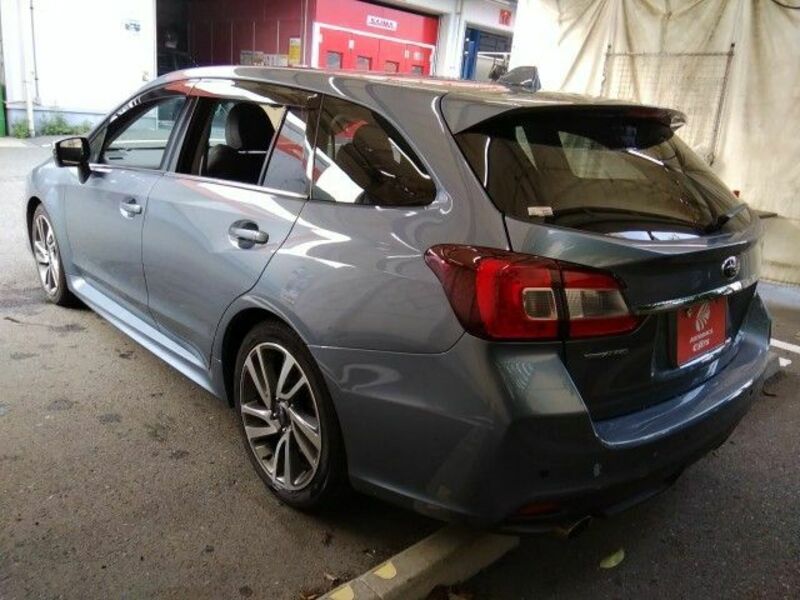 LEVORG