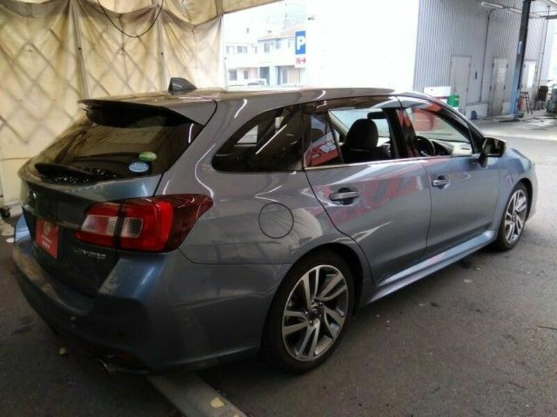 LEVORG