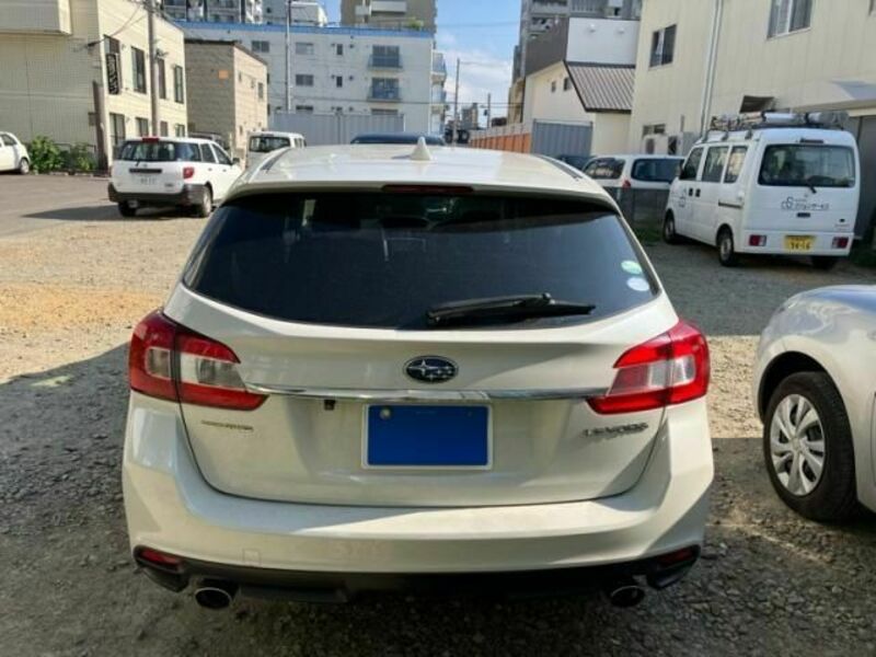LEVORG