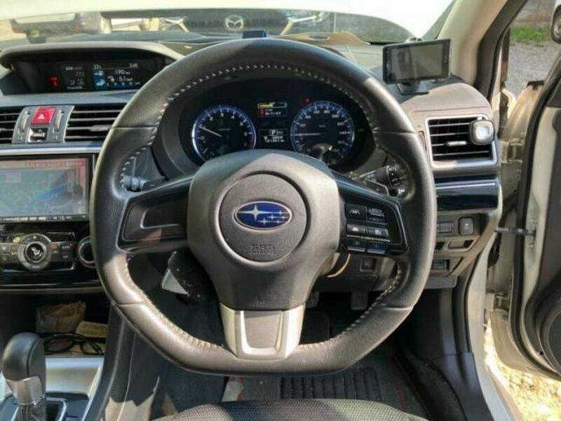 LEVORG