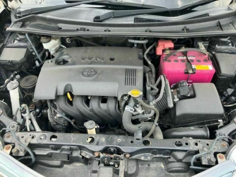COROLLA FIELDER