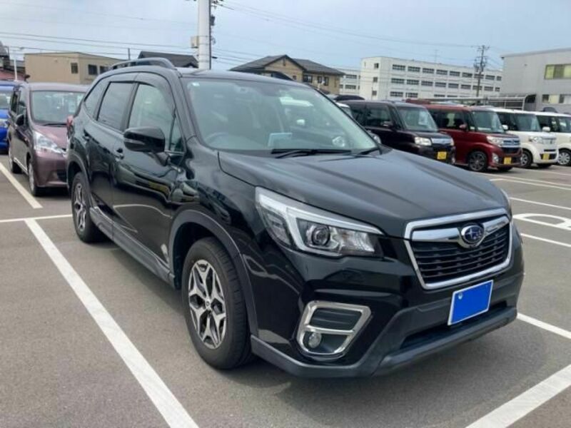 FORESTER