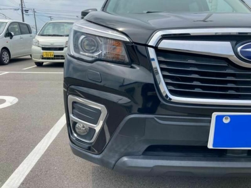 FORESTER