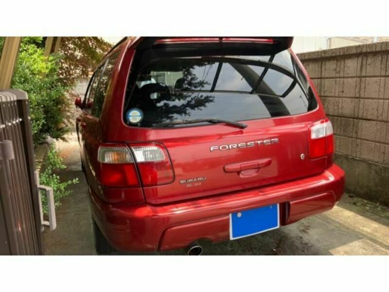 FORESTER