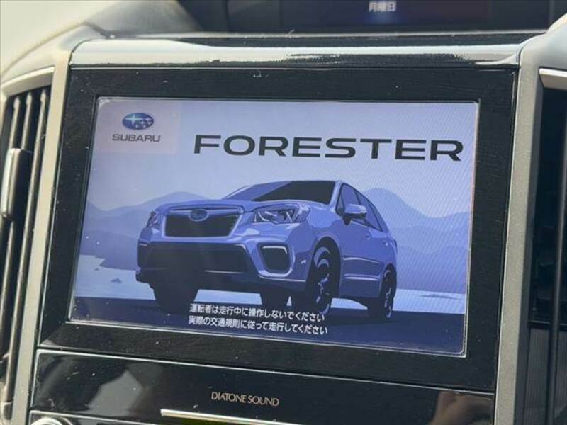 FORESTER