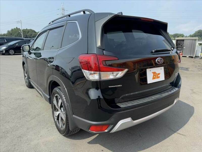 FORESTER