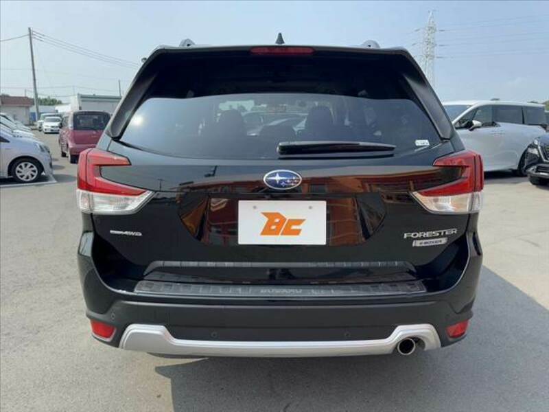 FORESTER