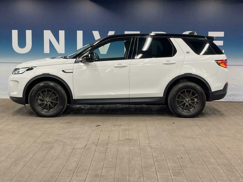 DISCOVERY SPORT-54