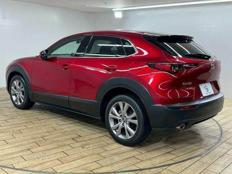 CX-30
