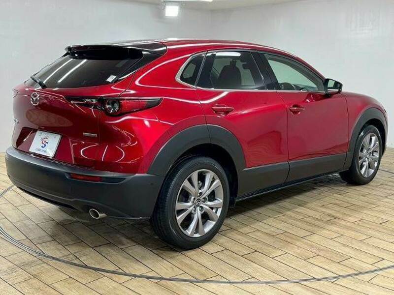 CX-30