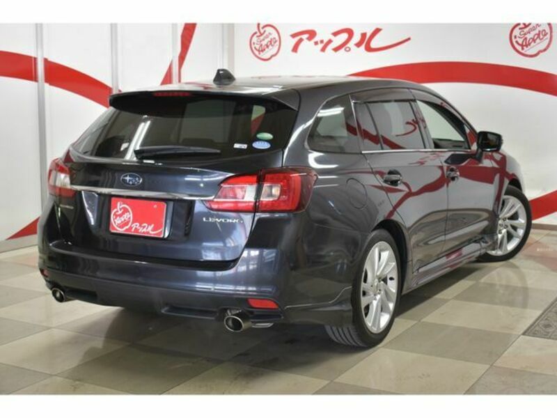 LEVORG