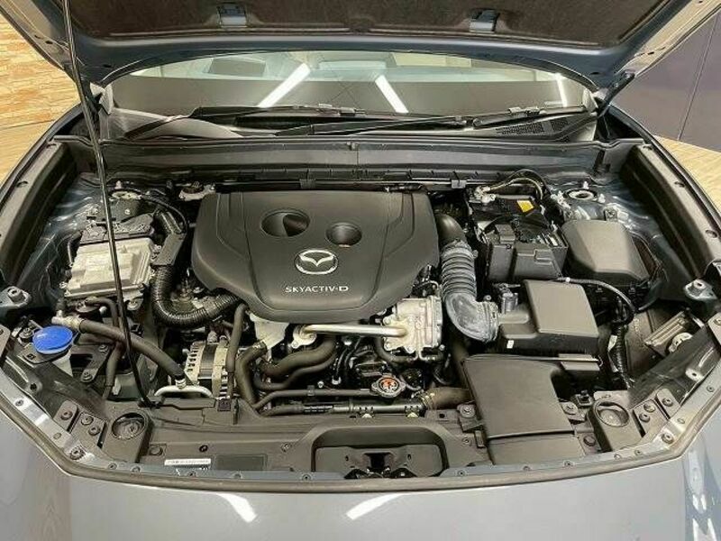 CX-30