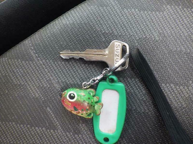 CARRY TRUCK