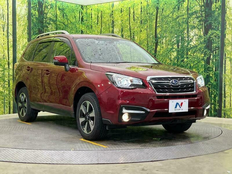 FORESTER