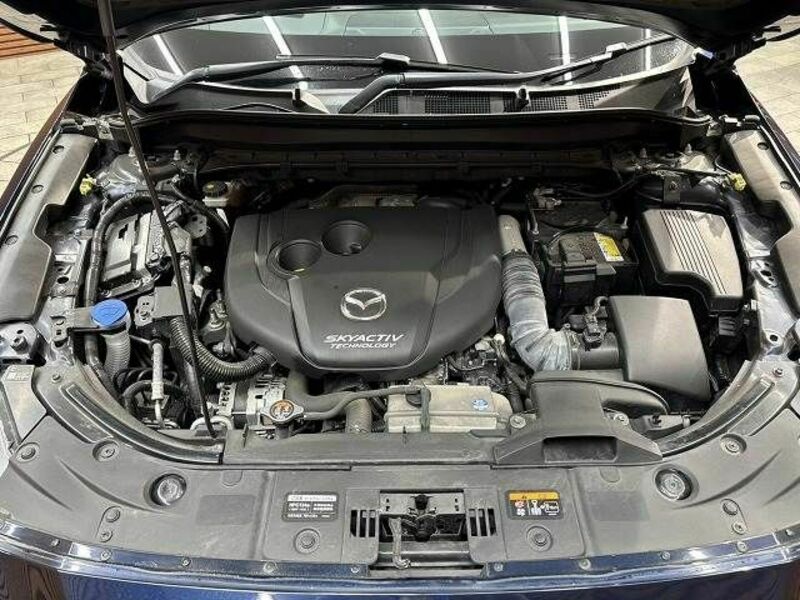 CX-8