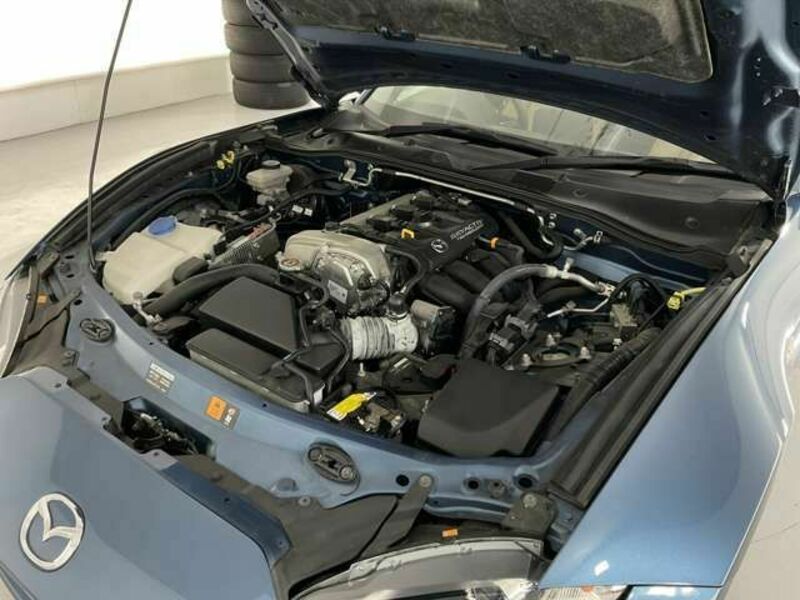 ROADSTER RF