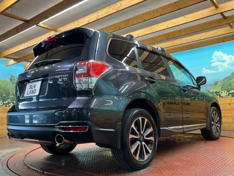 FORESTER