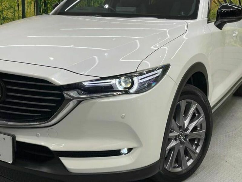 CX-8