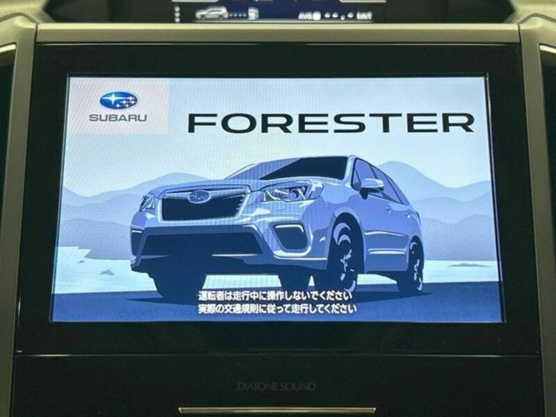 FORESTER