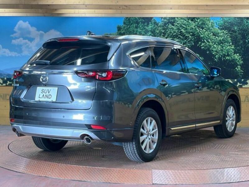 CX-8