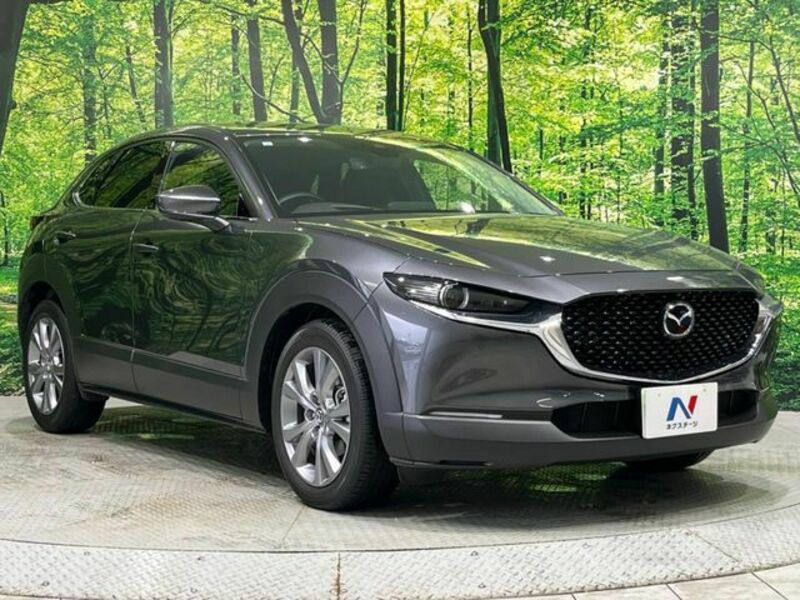 CX-30