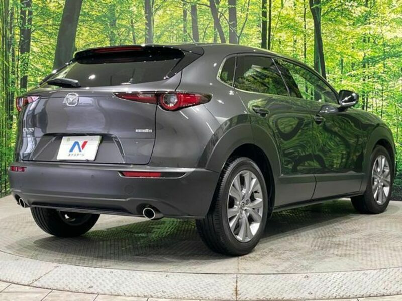 CX-30