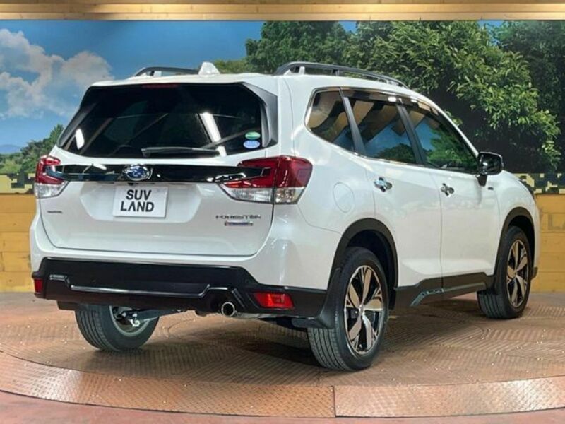 FORESTER