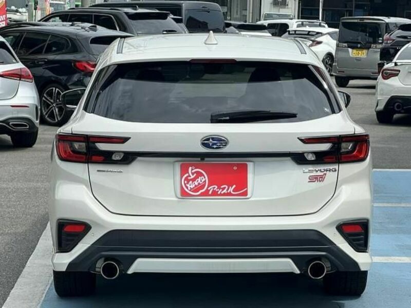 LEVORG