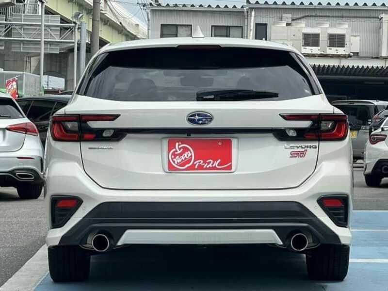 LEVORG