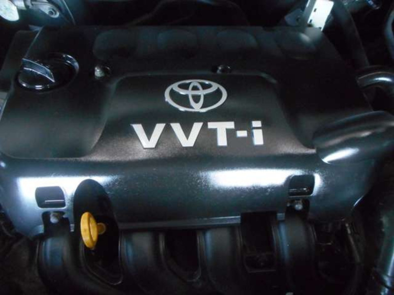 BELTA