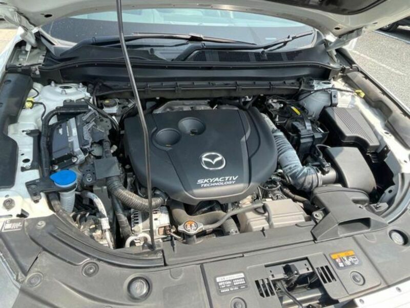 CX-8