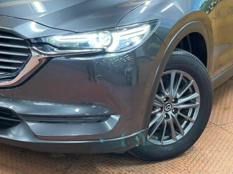 CX-8