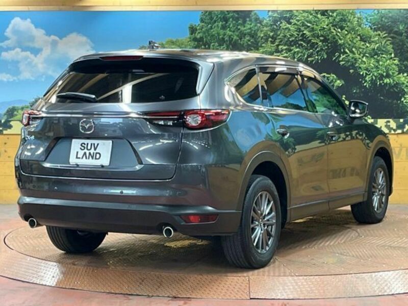 CX-8