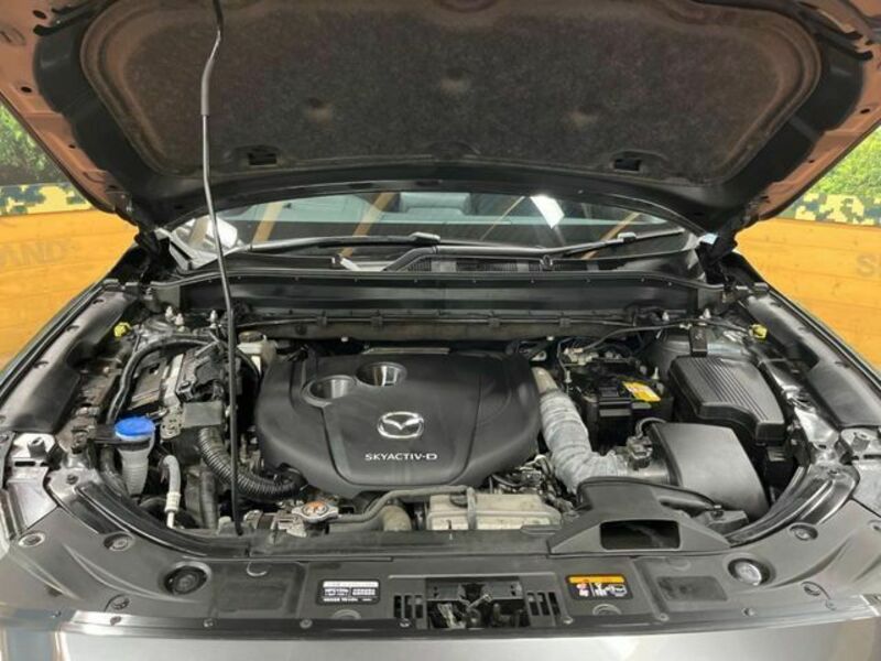 CX-8