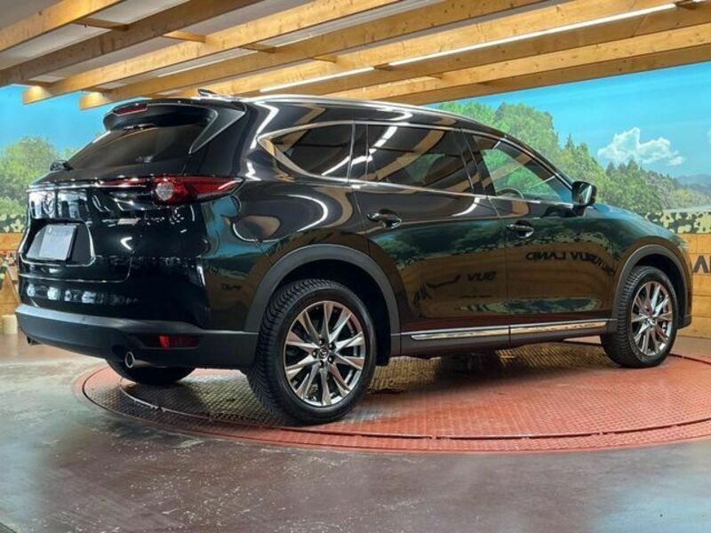 CX-8