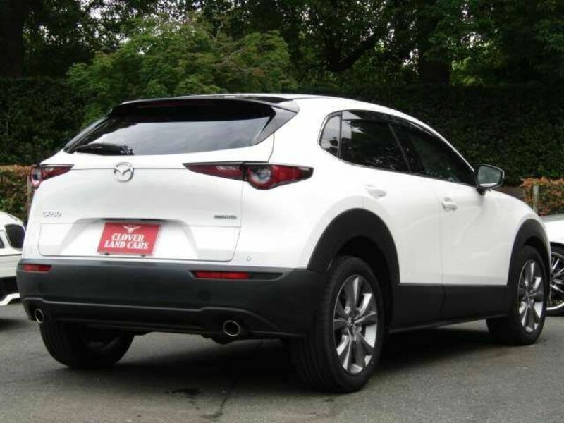 CX-30
